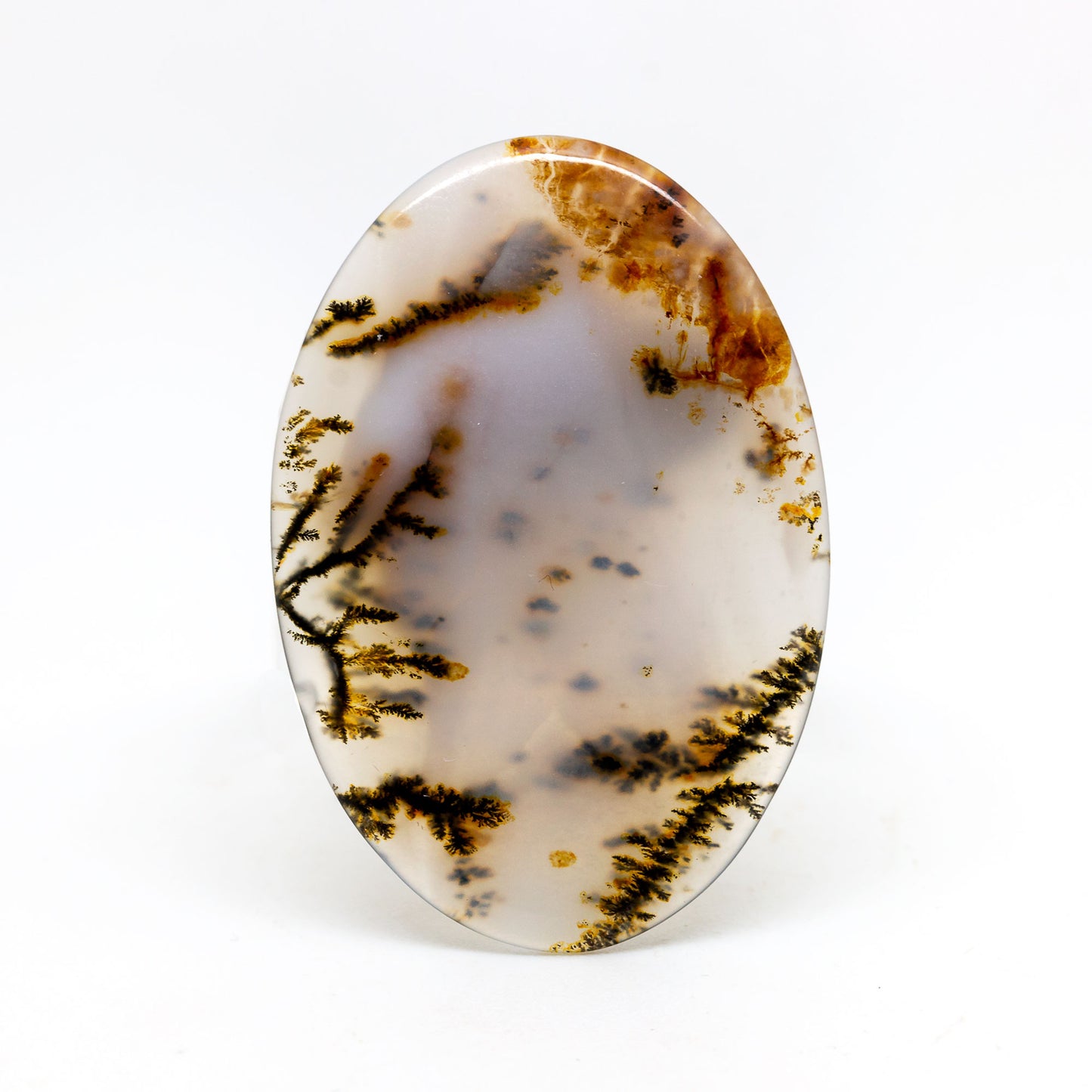 Dendritic Agate