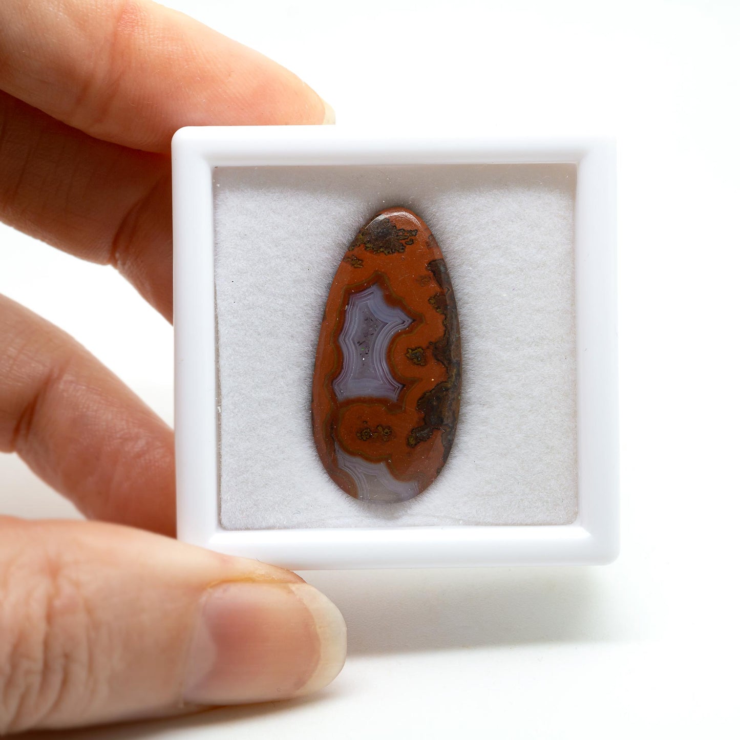 Plume Agate