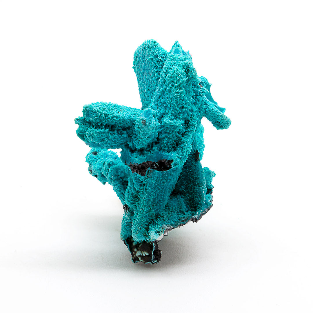 CHRYSOCOLLA PSEUDOMORPH AFTER AZURITE, MALACHITE