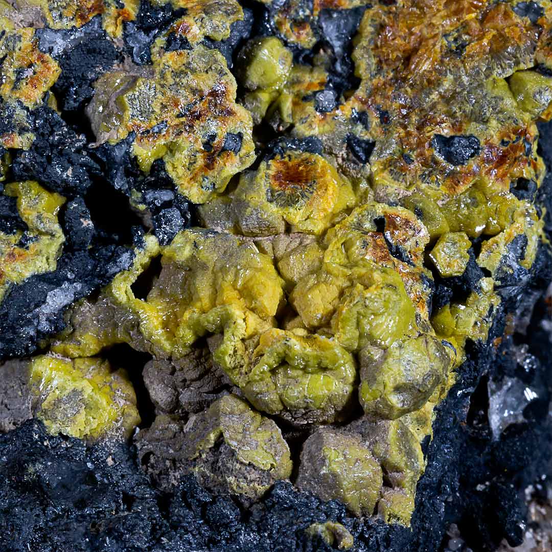 MIMETITE VAR CAMPYLITE & PYROLUSITE