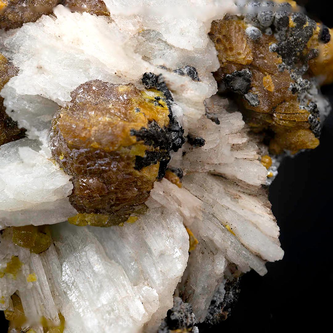 MIMETITE VAR CAMPYLITE, PYROLUSITE, BARYTE & QUARTZ