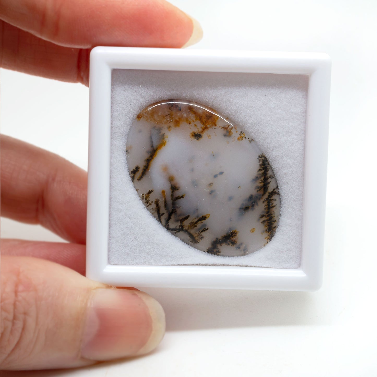 Dendritic Agate