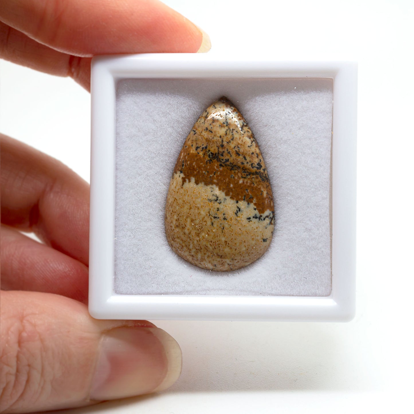 Picture Jasper