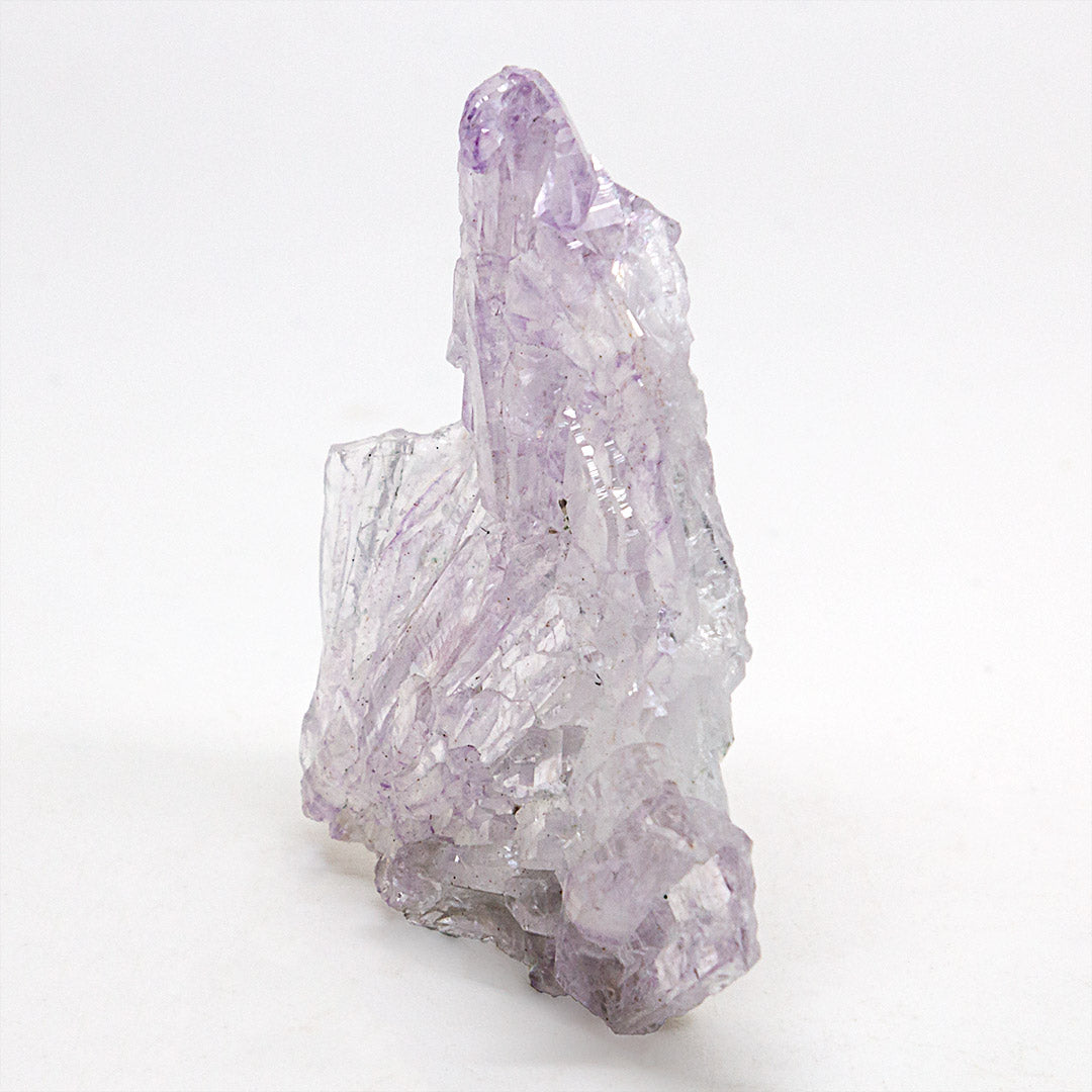 AMETHYST (FLOWER)