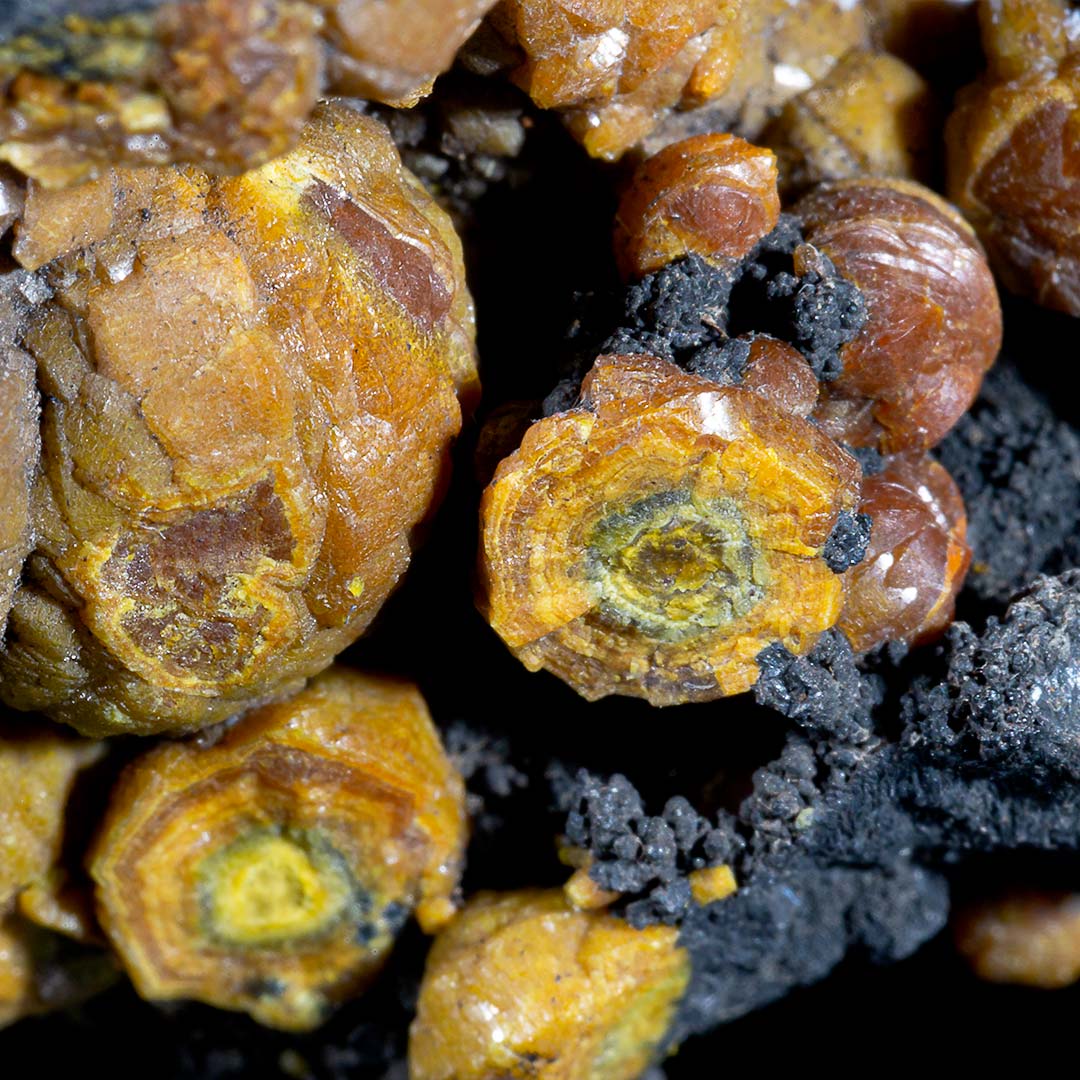 MIMETITE VAR CAMPYLITE & PYROLUSITE