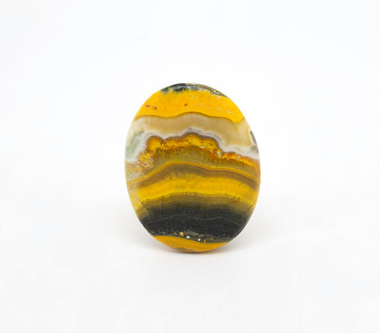 Bumble Bee Jasper